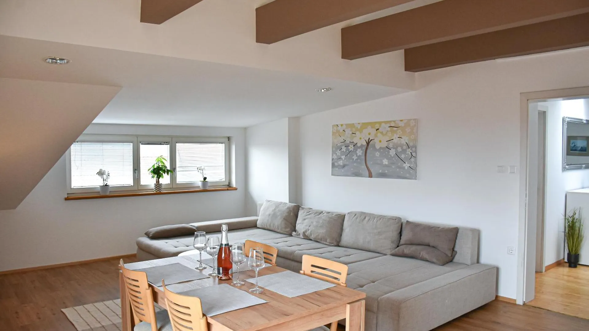 Apartments Pina Ljubljana